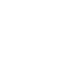 Maximum Image Magnification .08x