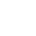 Maximum Image Magnification .10x