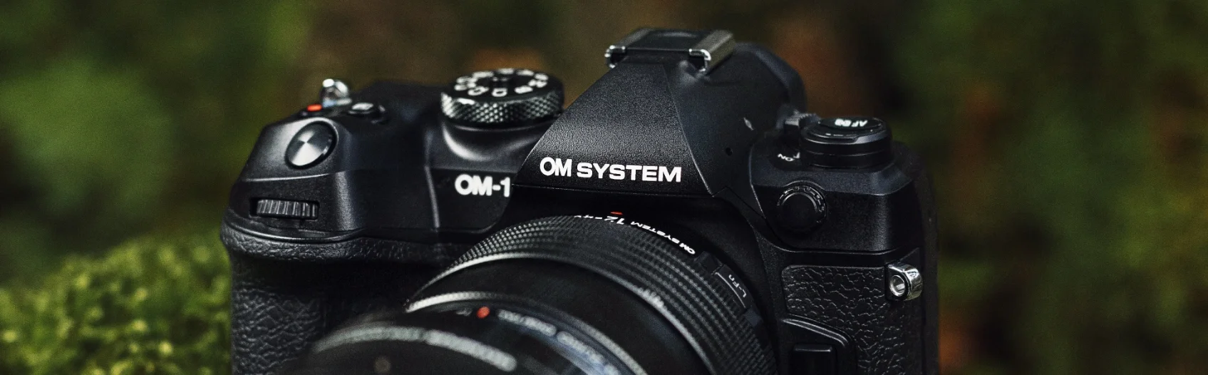 The OM-1 Mark II in a green environment – the ideal camera for birding and other outdoor applications
