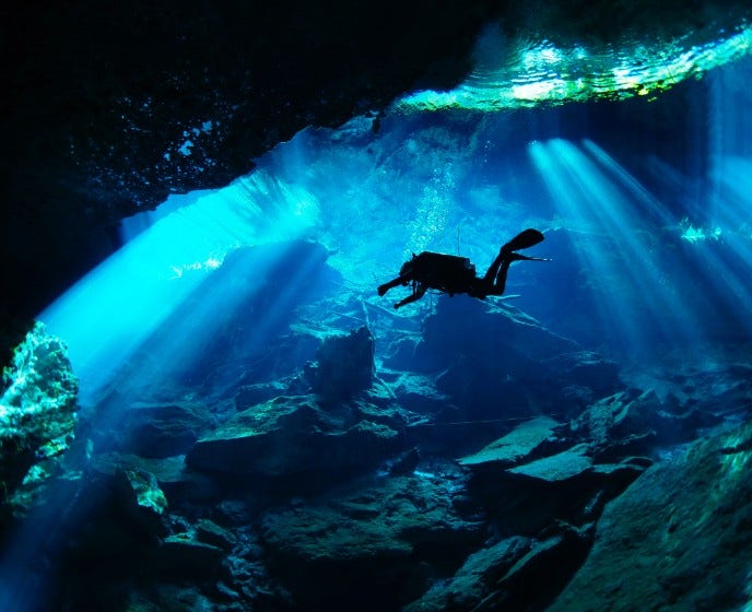 Shoot with the Fishes